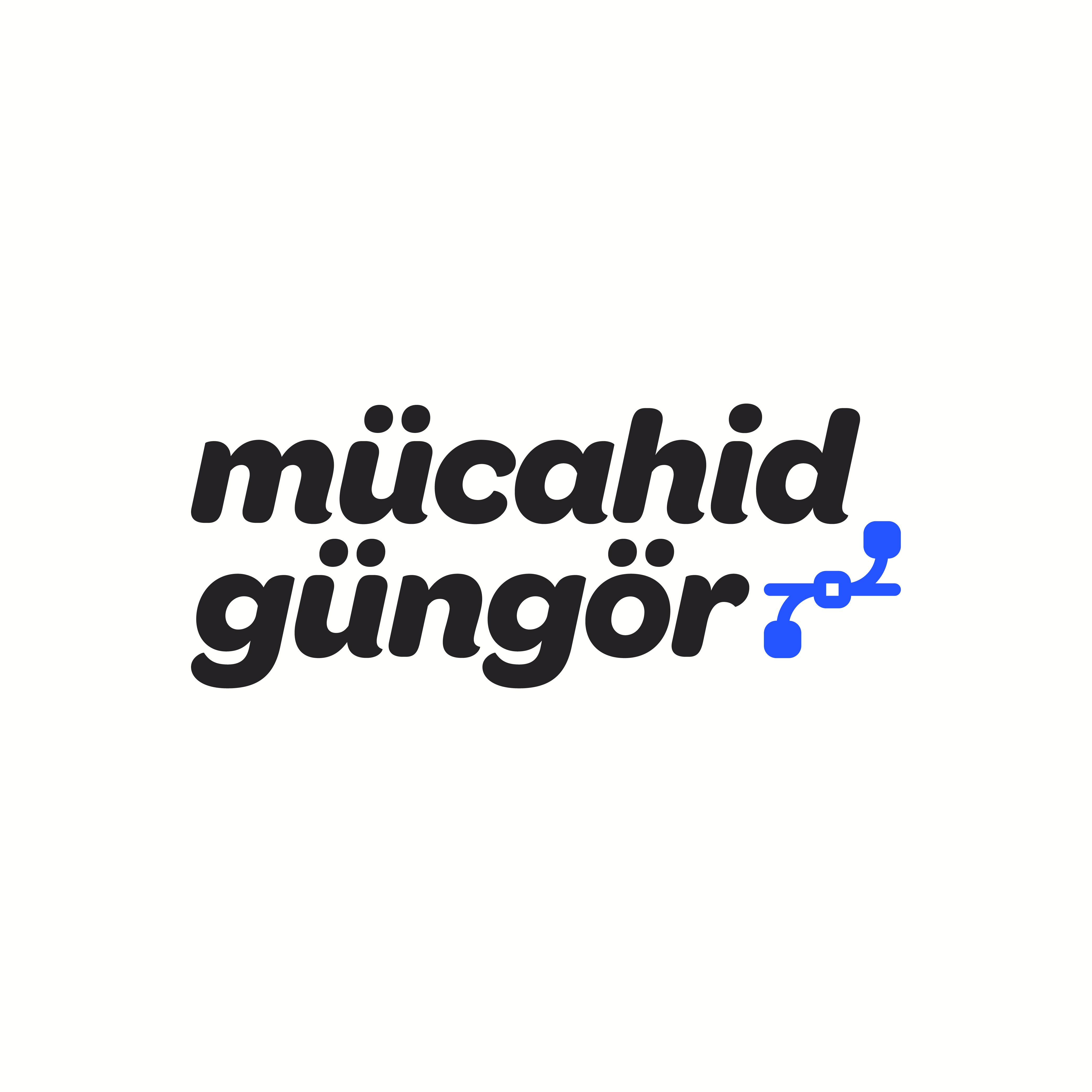 mucahidgungor