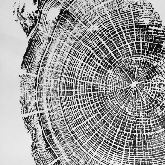 svncdesign