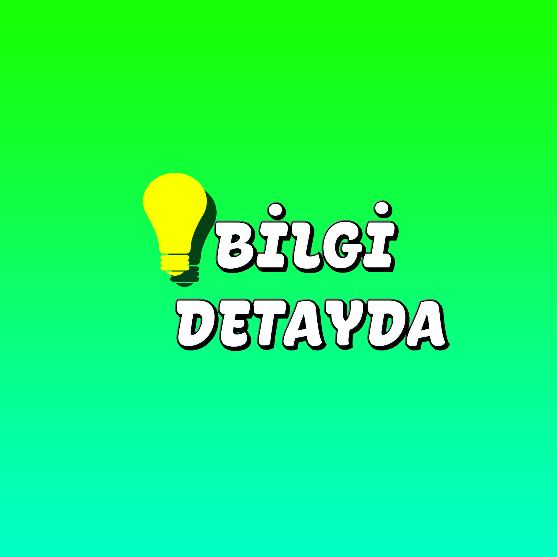 BilgiDetayda