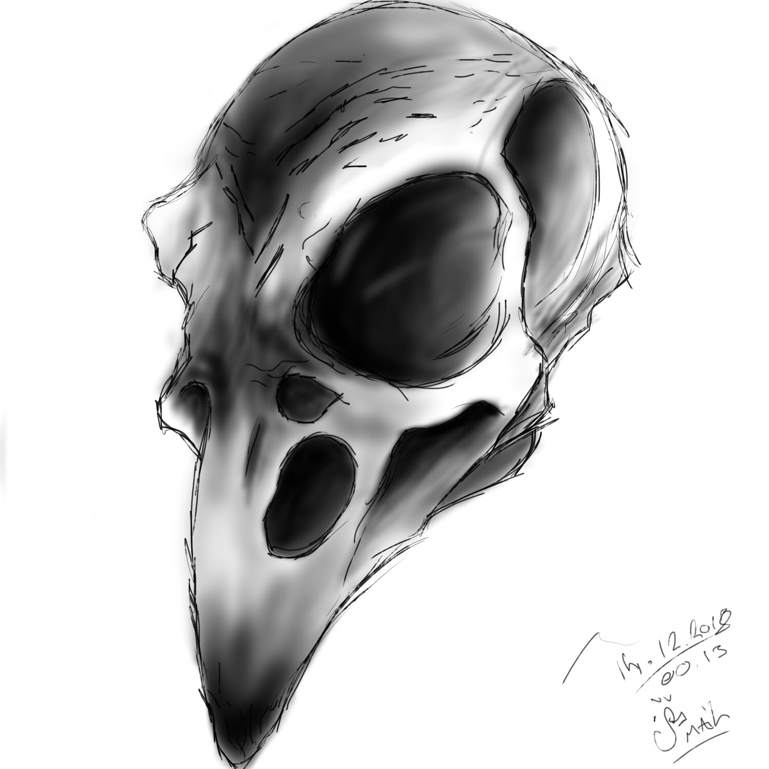 NomadCrow