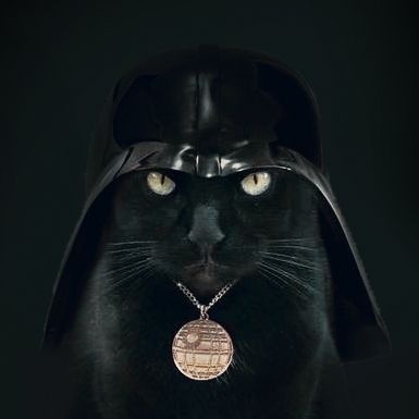 catidog_vol2