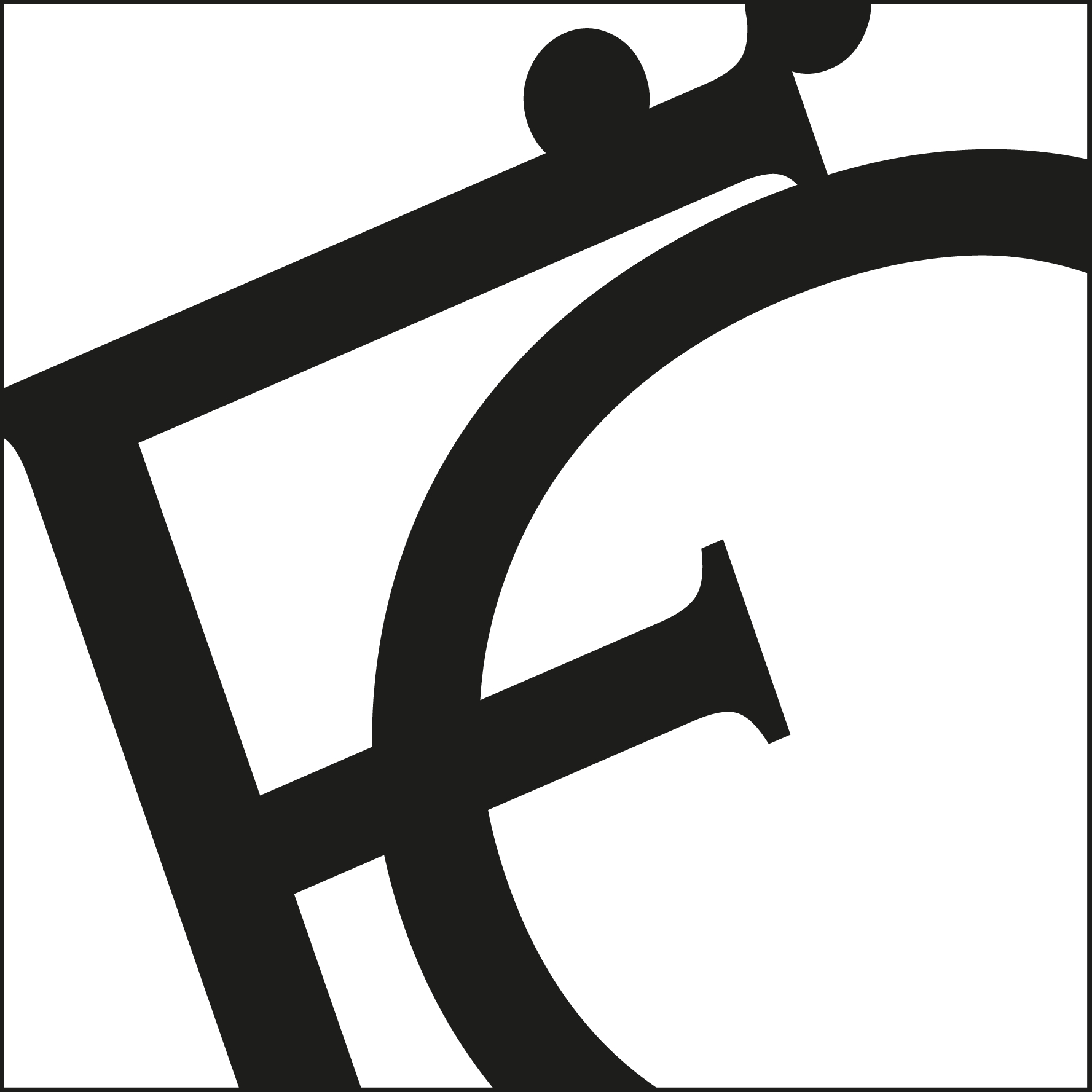 feyzanr