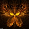 crocus