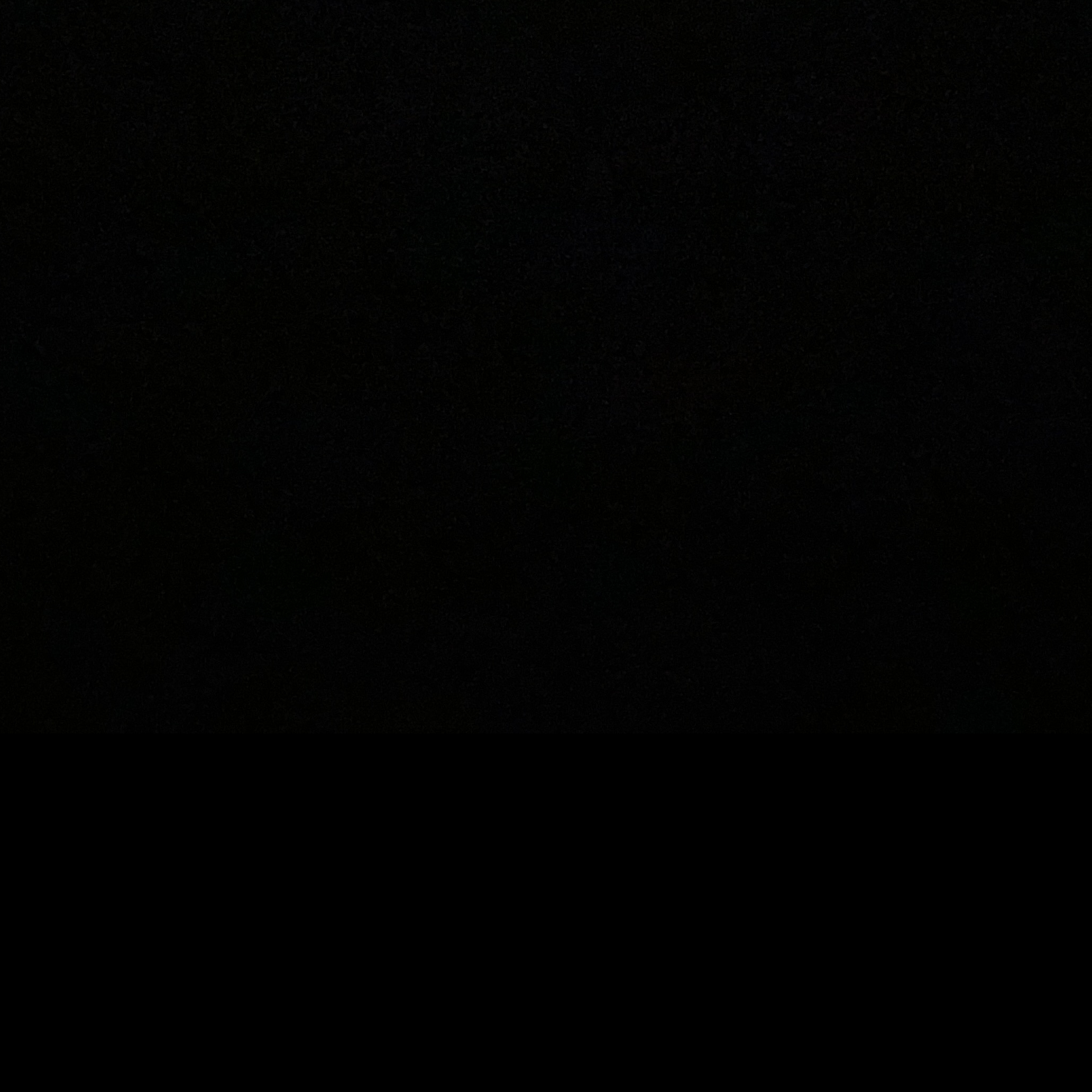 X195