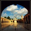 mustafa_agac