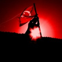 YsfCtnr
