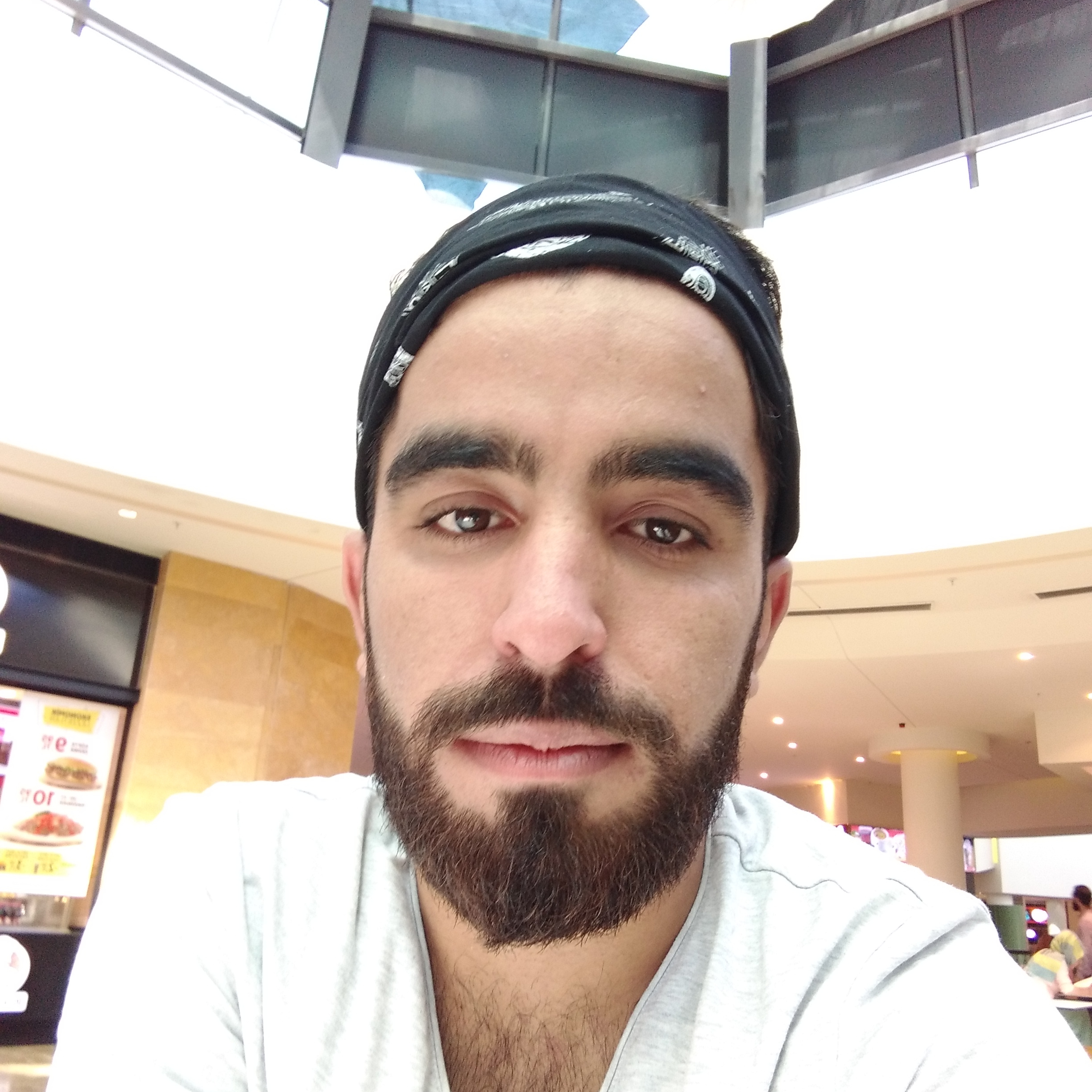 Thorin Meşekalkanı