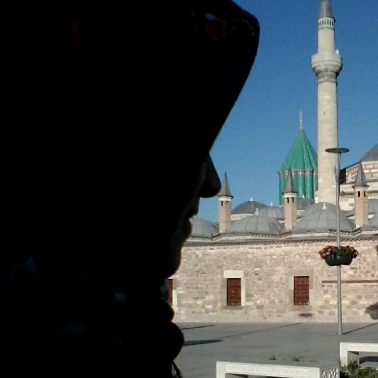 F.seyma