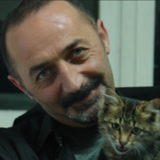 SONETKİ